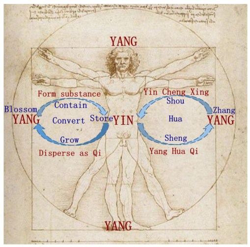 %e4%ba%ba%e4%bd%93%e5%a4%a7%e5%9b%be3_%e5%89%af%e6%9c%ac